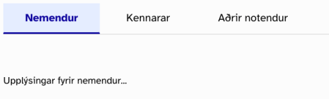 Dæmi um útlit á flipaskiptri síðu á vef HÍ